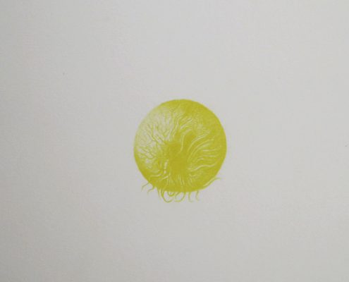Open Mind 11, 22x28cm, 2015