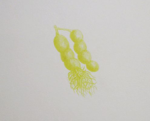 Open Mind 8, 22x28cm, 2015
